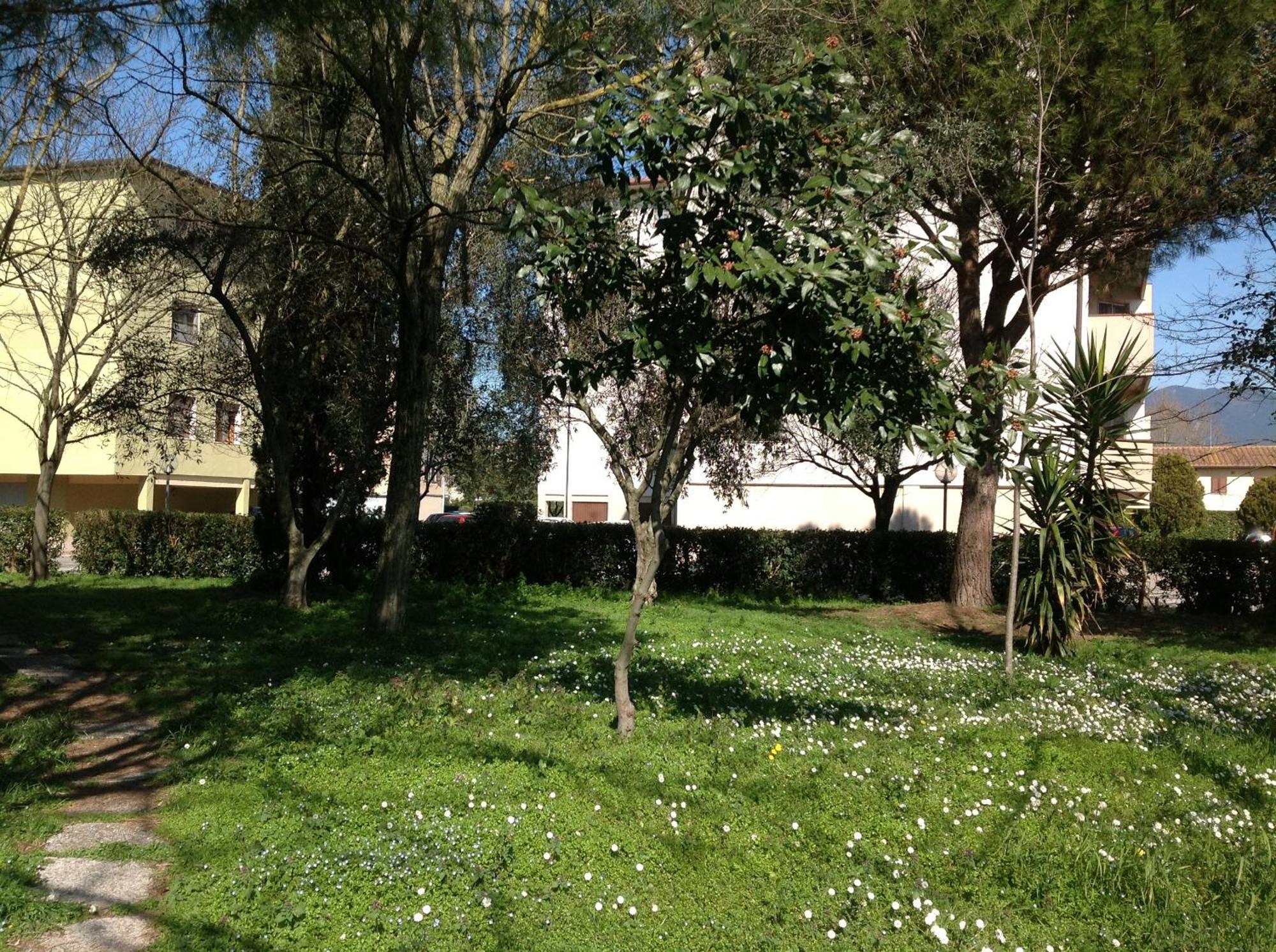 Cisanello House Ξενοδοχείο Πίζα Εξωτερικό φωτογραφία